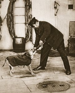 Ce que nous avons bien tenu!, illustration de The Illustrated War News, février 1917 - English Photographer